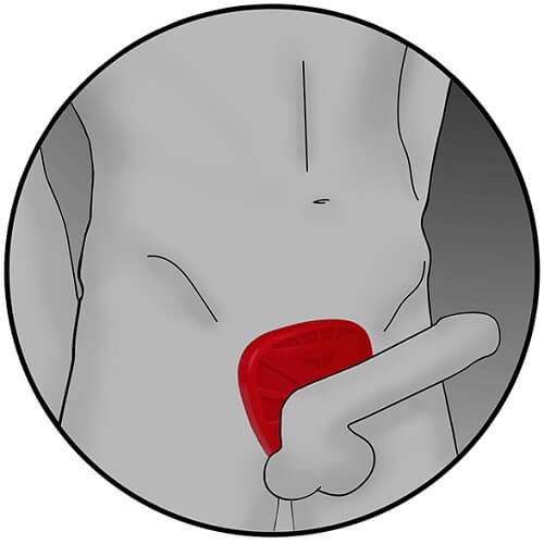 n11390-electrastim-viper-cock-shield-4