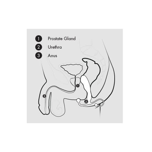 n9369-aneros-prostate-massagers-easy-to-use
